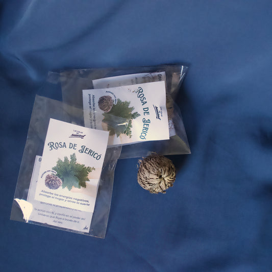 Rosa de Jericho Pequeña